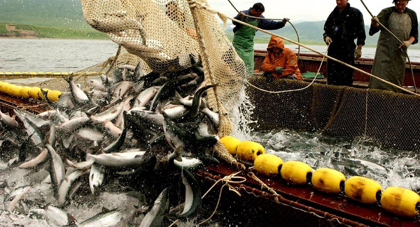 Рыбный промысел должен быть законным