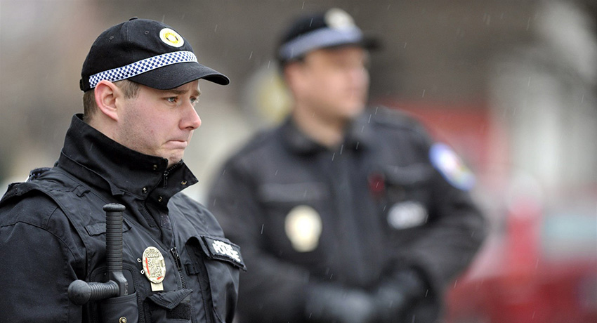 Полиция Чехии: общие положения
