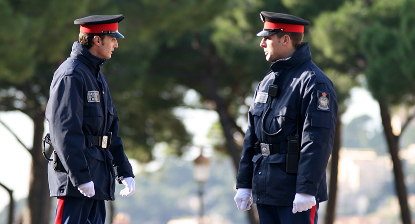 Полиция Княжества Монако: общие положения