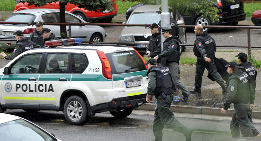 Полиция Словацкой Республики: общие положения